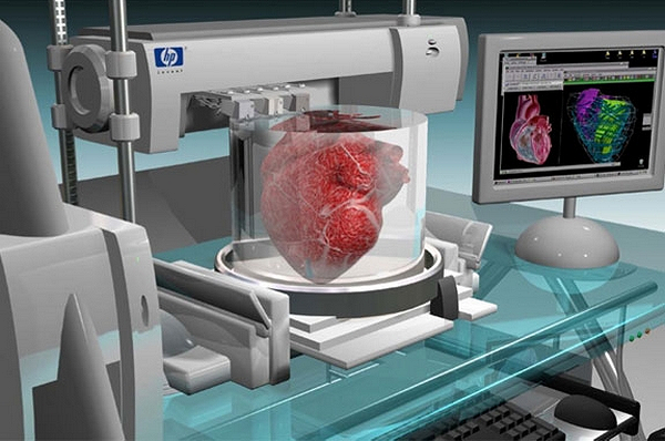 3D принтер печатает живую почку