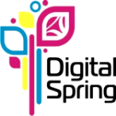  Xerox        Digital Spring