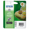 Ink Cartridge EPSON C13T03474010