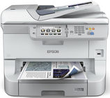 Epson WorkForce WF-100 -    