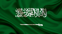 В Саудовской Аравии изъята крупная партия контрафактных картриджей