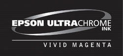 Epson UltraChrome K3 Vivid Magenta