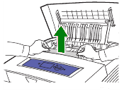 Принтер xerox phaser 5335 жует бумагу