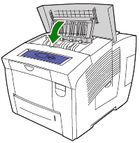 Xerox застряла бумага. Xerox 8560. Застряла бумага в принтере Xerox. Зажевало бумагу в принтере ксерокс. Xerox Phaser 5335n, ч/б, a3.