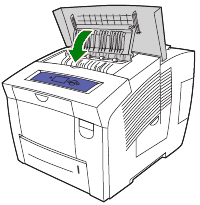 Принтер xerox phaser 5335 жует бумагу