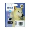 Ink Cartridge EPSON C13T09654010