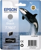 Ink Cartridge EPSON C13T76074010