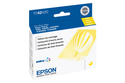   EPSON T042420