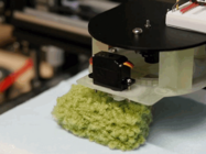 Дарлен Фаррис-Лабар создает 3D-печатные копии исчезающих растений