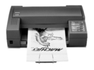 Printer EPSON Stylus 800